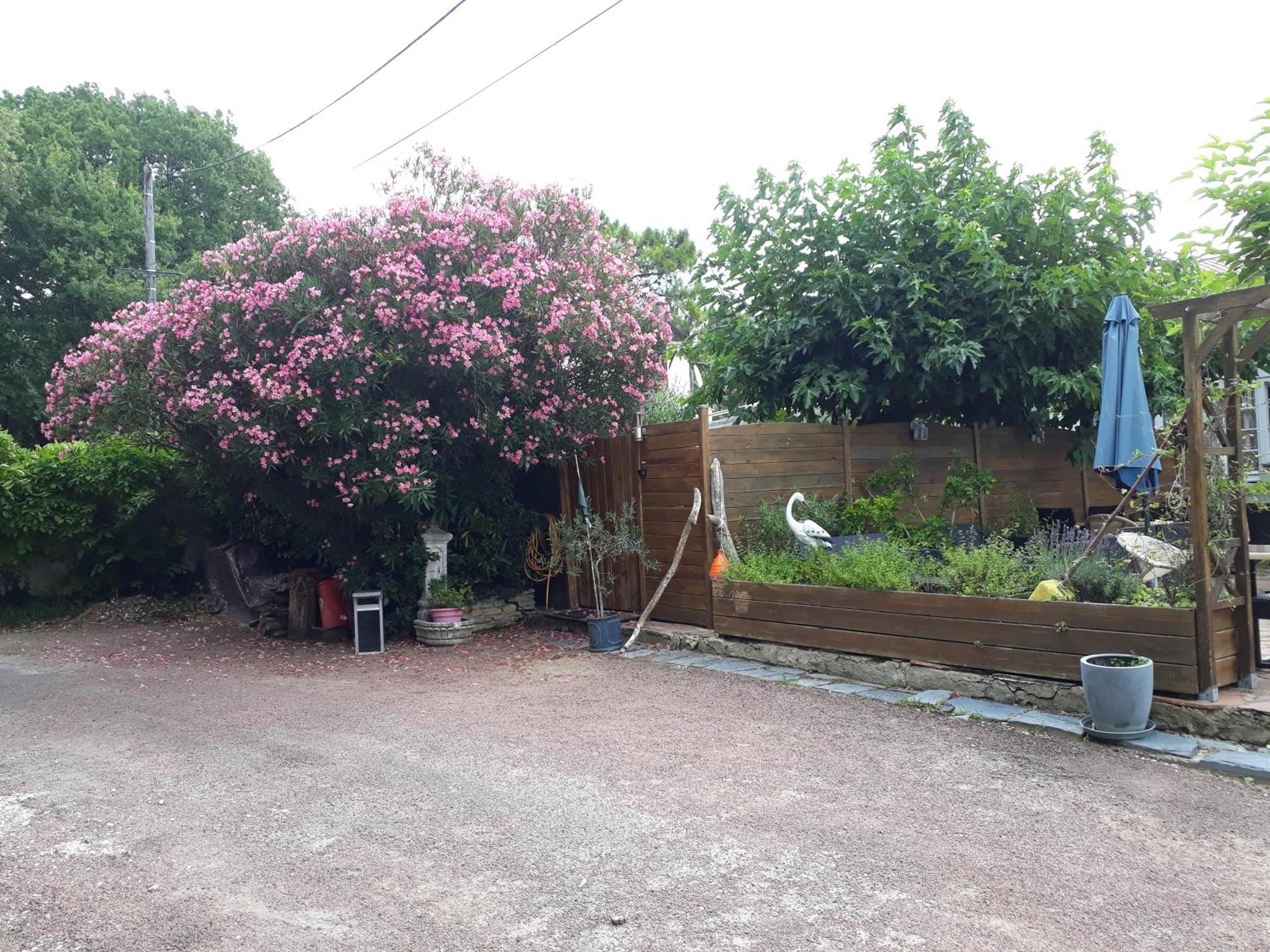 Residence Fleur Des Pins - Gites & Chambres D'Hotes Saint-Georges-d'Oleron Exterior foto